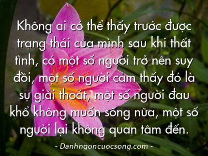Không ai có thể thấy trước được trạng thái của mình sau khi thất tình, có một số người trở nên suy đồi, một số người cảm thấy đó là sự giải thoát, một số người đau khổ không muốn sống nữa, một số người lại không quan tâm đến.