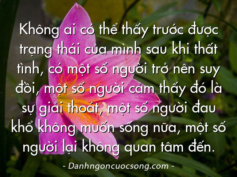 Không ai có thể thấy trước được trạng thái của mình sau khi thất tình, có một số người trở nên suy đồi, một số người cảm thấy đó là sự giải thoát, một số người đau khổ không muốn sống nữa, một số người lại không quan tâm đến.