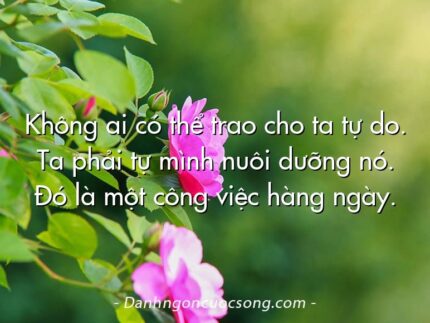 Không ai có thể trao cho ta tự do. Ta phải tự mình nuôi dưỡng nó. Đó là một công việc hàng ngày.