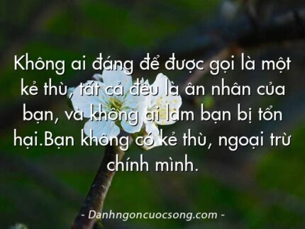 Không ai đáng để được gọi là một kẻ thù, tất cả đều là ân nhân của bạn, và không ai làm bạn bị tổn hại.Bạn không có kẻ thù, ngoại trừ chính mình.
