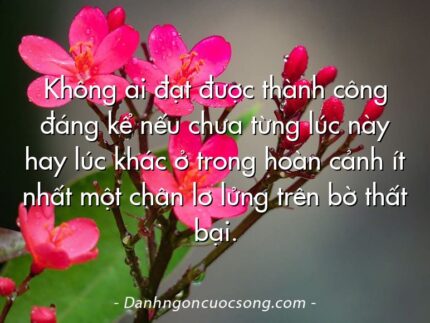 Không ai đạt được thành công đáng kể nếu chưa từng lúc này hay lúc khác ở trong hoàn cảnh ít nhất một chân lơ lửng trên bờ thất bại.