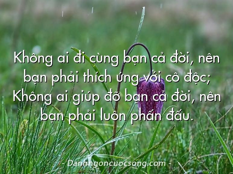 Không ai đi cùng bạn cả đời, nên bạn phải thích ứng với cô độc; Không ai giúp đỡ bạn cả đời, nên bạn phải luôn phấn đấu.