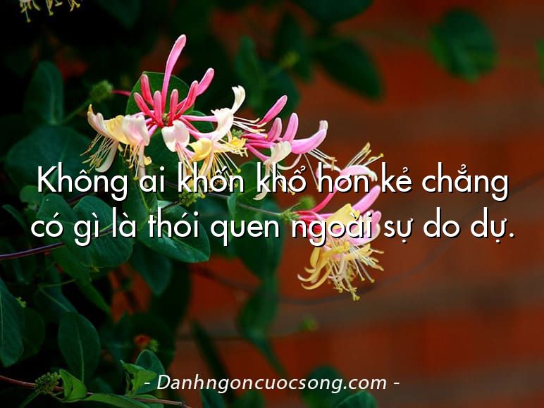 Không ai khốn khổ hơn kẻ chẳng có gì là thói quen ngoài sự do dự.