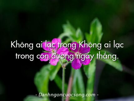 Không ai lạc trong Không ai lạc trong con đường ngay thẳng.