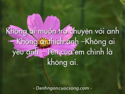 Không ai muốn trò chuyện với anh – Không ai thích anh –Không ai yêu anh – Tên của em chình là không ai.