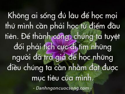 Không ai sống đủ lâu để học mọi thứ mình cần phải học từ điểm đầu tiên. Để thành công, chúng ta tuyệt đối phải tích cực đi tìm những người đã trả giá để học những điều chúng ta cần nhằm đạt được mục tiêu của mình.