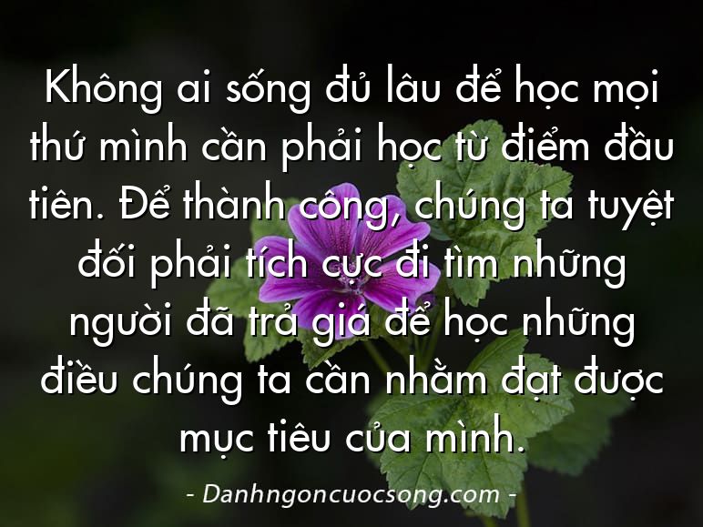 Không ai sống đủ lâu để học mọi thứ mình cần phải học từ điểm đầu tiên. Để thành công, chúng ta tuyệt đối phải tích cực đi tìm những người đã trả giá để học những điều chúng ta cần nhằm đạt được mục tiêu của mình.
