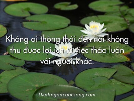 Không ai thông thái đến nỗi không thu được lợi ích từ việc thảo luận với người khác.