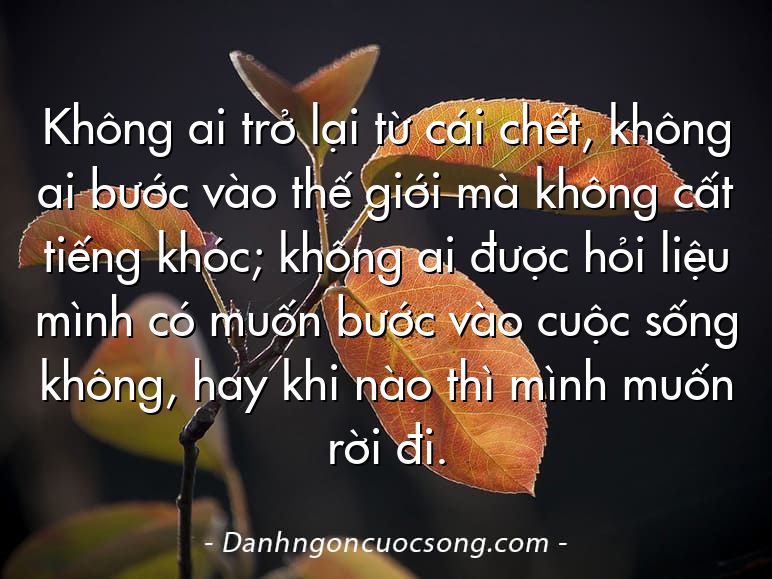 Không ai trở lại từ cái chết, không ai bước vào thế giới mà không cất tiếng khóc; không ai được hỏi liệu mình có muốn bước vào cuộc sống không, hay khi nào thì mình muốn rời đi.