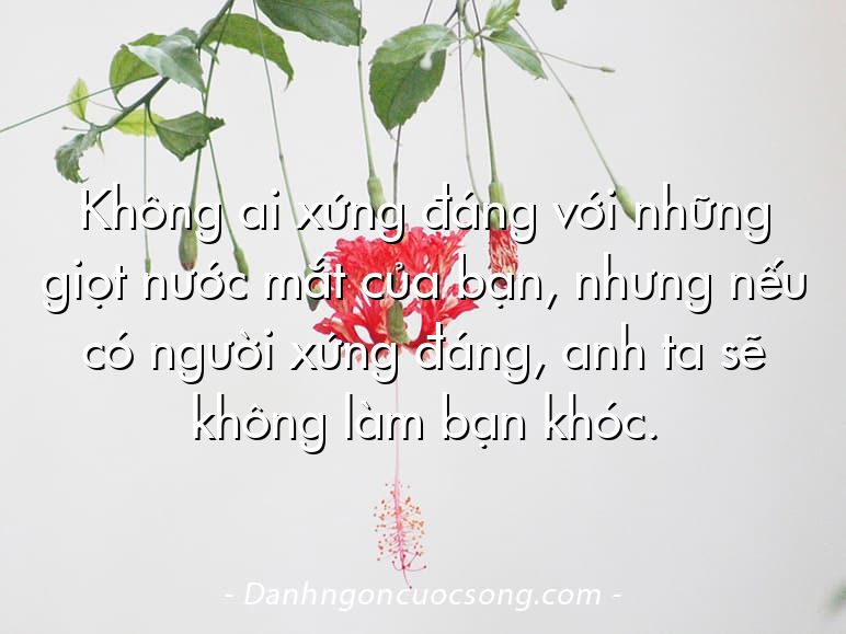 Không ai xứng đáng với những giọt nước mắt của bạn, nhưng nếu có người xứng đáng, anh ta sẽ không làm bạn khóc.