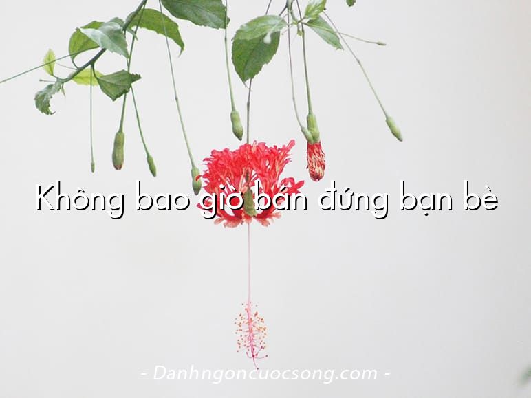 Không bao giờ bán đứng bạn bè