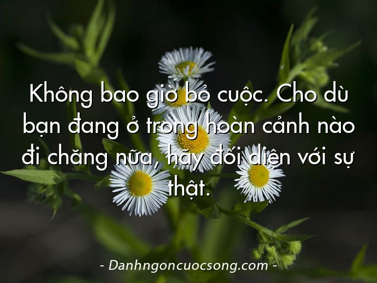 Không bao giờ bỏ cuộc. Cho dù bạn đang ở trong hoàn cảnh nào đi chăng nữa, hãy đối diện với sự thật.