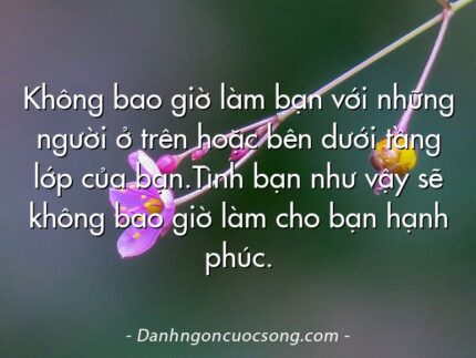 Không bao giờ làm bạn với những người ở trên hoặc bên dưới tầng lớp của bạn.Tình bạn như vậy sẽ không bao giờ làm cho bạn hạnh phúc.