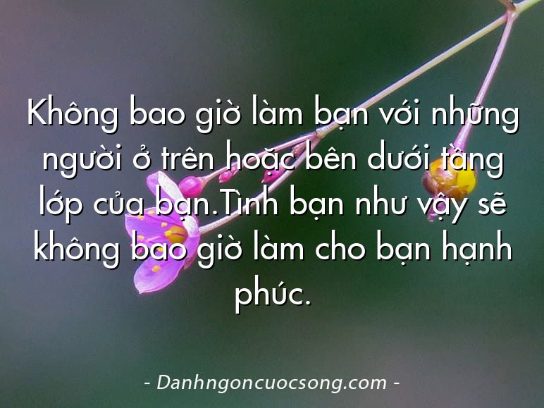 Không bao giờ làm bạn với những người ở trên hoặc bên dưới tầng lớp của bạn.Tình bạn như vậy sẽ không bao giờ làm cho bạn hạnh phúc.