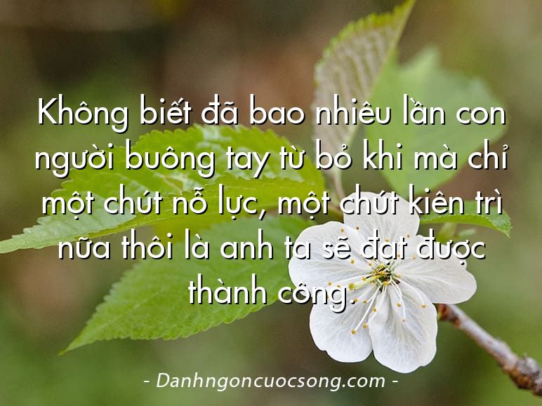 Không biết đã bao nhiêu lần con người buông tay từ bỏ khi mà chỉ một chút nỗ lực, một chút kiên trì nữa thôi là anh ta sẽ đạt được thành công.