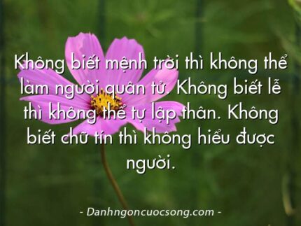 Không biết mệnh trời thì không thể làm người quân tử. Không biết lễ thì không thể tự lập thân. Không biết chữ tín thì không hiểu được người.