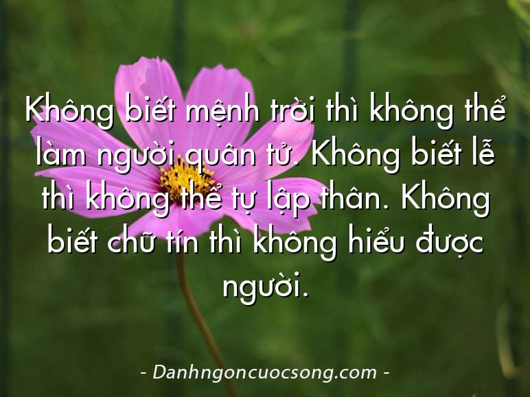 Không biết mệnh trời thì không thể làm người quân tử. Không biết lễ thì không thể tự lập thân. Không biết chữ tín thì không hiểu được người.