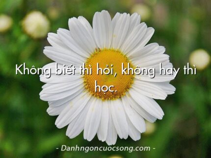 Không biết thì hỏi, không hay thì học.