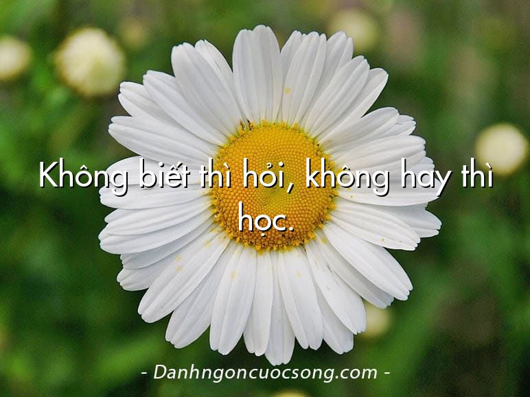 Không biết thì hỏi, không hay thì học.