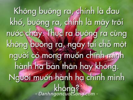 Không buông ra, chính là đau khổ, buông ra, chính là mây trôi nước chảy. Thực ra buông ra cùng không buông ra, ngay tại chỗ một người có mong muốn chính mình hành hạ bản thân hay không. Ngươi muốn hành hạ chính mình không?