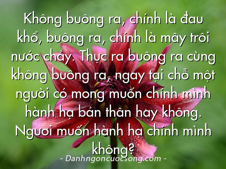 Không buông ra, chính là đau khổ, buông ra, chính là mây trôi nước chảy. Thực ra buông ra cùng không buông ra, ngay tại chỗ một người có mong muốn chính mình hành hạ bản thân hay không. Ngươi muốn hành hạ chính mình không?