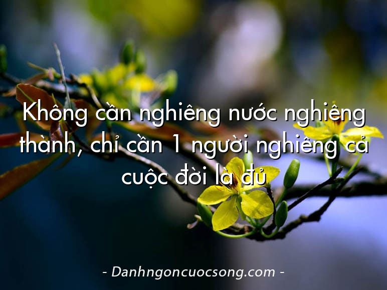 Không cần nghiêng nước nghiêng thành, chỉ cần 1 người nghiêng cả cuộc đời là đủ
