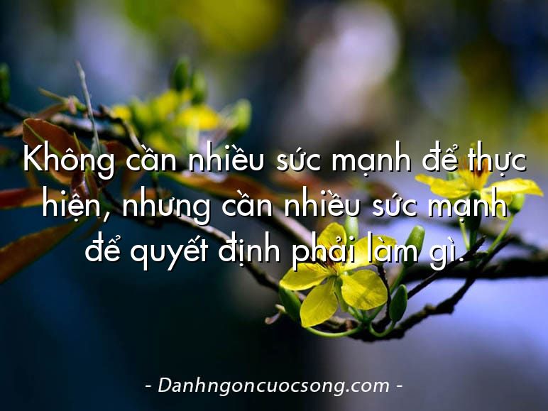 Không cần nhiều sức mạnh để thực hiện, nhưng cần nhiều sức mạnh để quyết định phải làm gì.