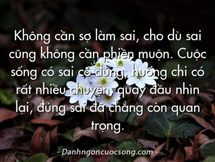Không cần sợ làm sai, cho dù sai cũng không cần phiền muộn. Cuộc sống có sai có đúng, huống chi có rất nhiều chuyện, quay đầu nhìn lại, đúng sai đã chẳng còn quan trọng.