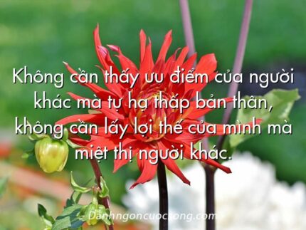 Không cần thấy ưu điểm của người khác mà tự hạ thấp bản thân, không cần lấy lợi thế của mình mà miệt thị người khác.