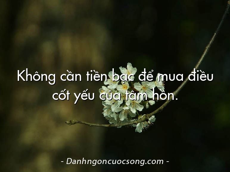 Không cần tiền bạc để mua điều cốt yếu của tâm hồn.