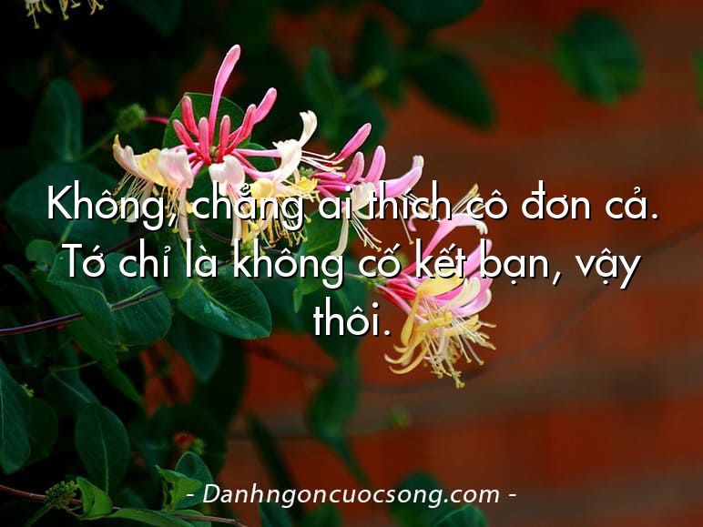 Không, chẳng ai thích cô đơn cả. Tớ chỉ là không cố kết bạn, vậy thôi.