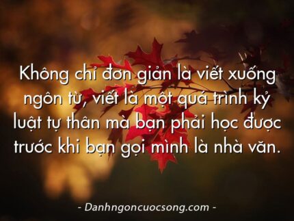 Không chỉ đơn giản là viết xuống ngôn từ, viết là một quá trình kỷ luật tự thân mà bạn phải học được trước khi bạn gọi mình là nhà văn.