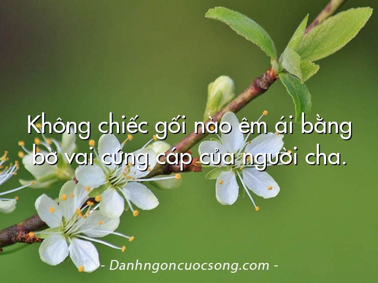 Không chiếc gối nào êm ái bằng bờ vai cứng cáp của người cha.