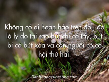 Không có ai hoàn hảo trên đời, đó là lý do tại sao bút chì có tẩy, bút bi có bút xóa và con người có cơ hội thứ hai.