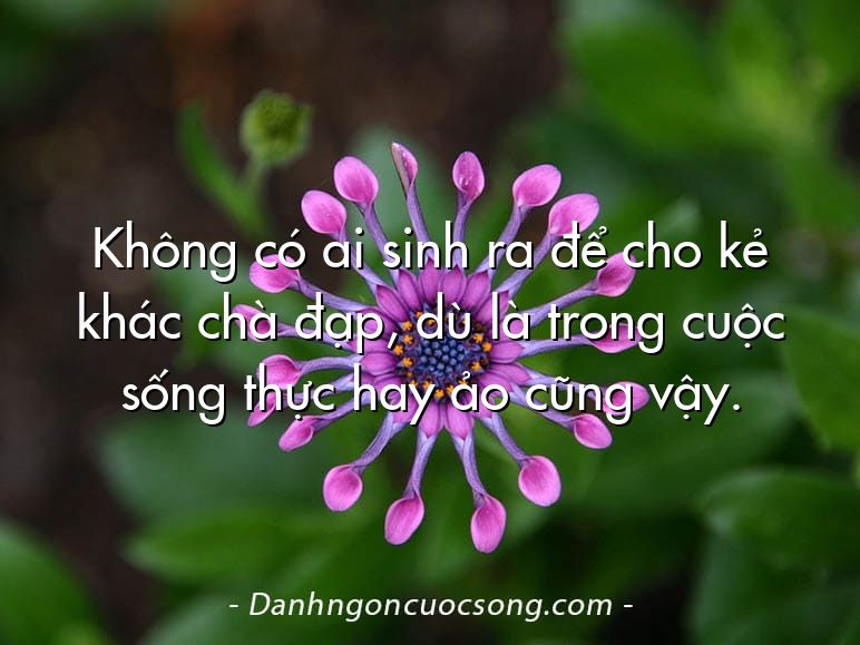 Không có ai sinh ra để cho kẻ khác chà đạp, dù là trong cuộc sống thực hay ảo cũng vậy.