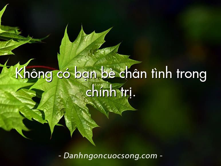 Không có bạn bè chân tình trong chính trị.
