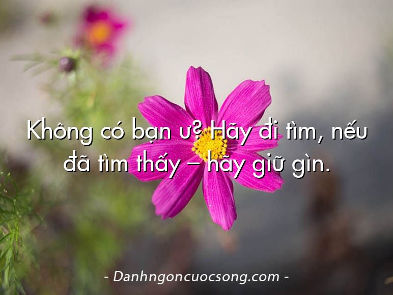 Không có bạn ư? Hãy đi tìm, nếu đã tìm thấy – hãy giữ gìn.
