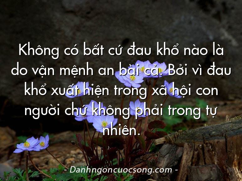 Không có bất cứ đau khổ nào là do vận mệnh an bài cả. Bởi vì đau khổ xuất hiện trong xã hội con người chứ không phải trong tự nhiên.