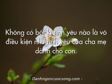 Không có bất kì tình yêu nào là vô điều kiện như tình yêu của cha mẹ dành cho con.