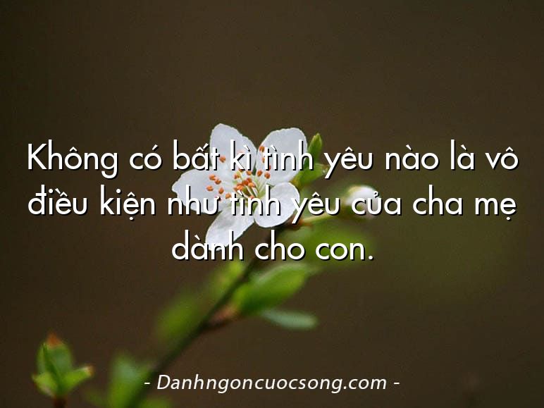 Không có bất kì tình yêu nào là vô điều kiện như tình yêu của cha mẹ dành cho con.