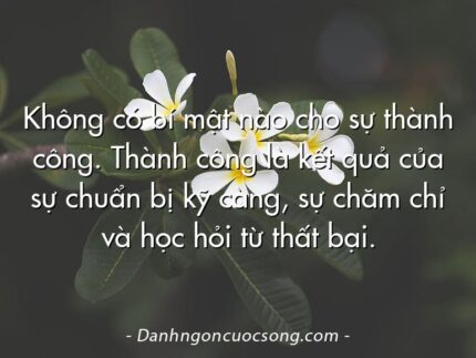 Không có bí mật nào cho sự thành công. Thành công là kết quả của sự chuẩn bị kỹ càng, sự chăm chỉ và học hỏi từ thất bại.
