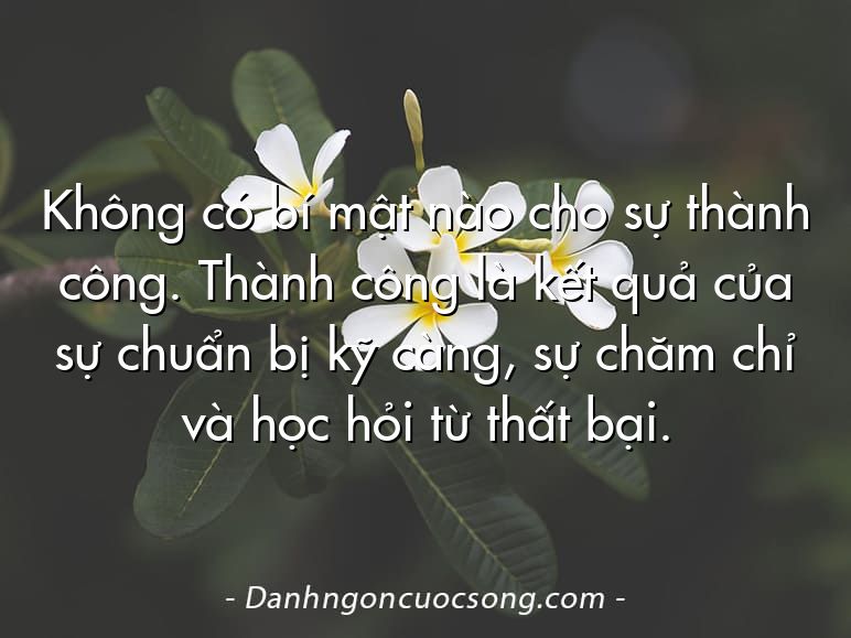 Không có bí mật nào cho sự thành công. Thành công là kết quả của sự chuẩn bị kỹ càng, sự chăm chỉ và học hỏi từ thất bại.
