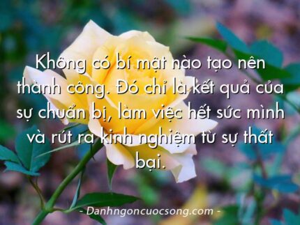 Không có bí mật nào tạo nên thành công. Đó chỉ là kết quả của sự chuẩn bị, làm việc hết sức mình và rút ra kinh nghiệm từ sự thất bại.