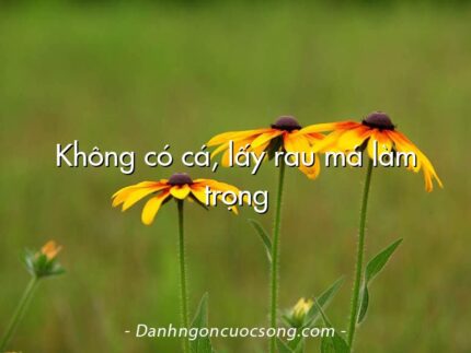 Không có cá, lấy rau má làm trọng