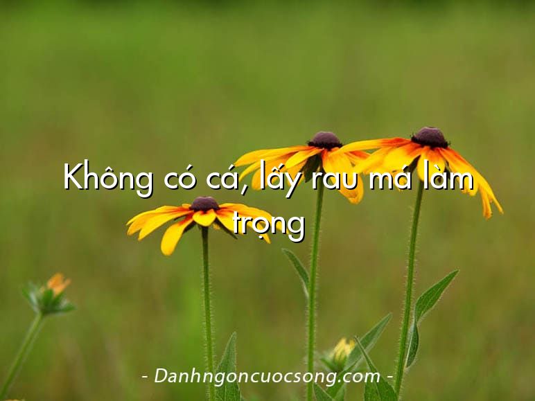 Không có cá, lấy rau má làm trọng