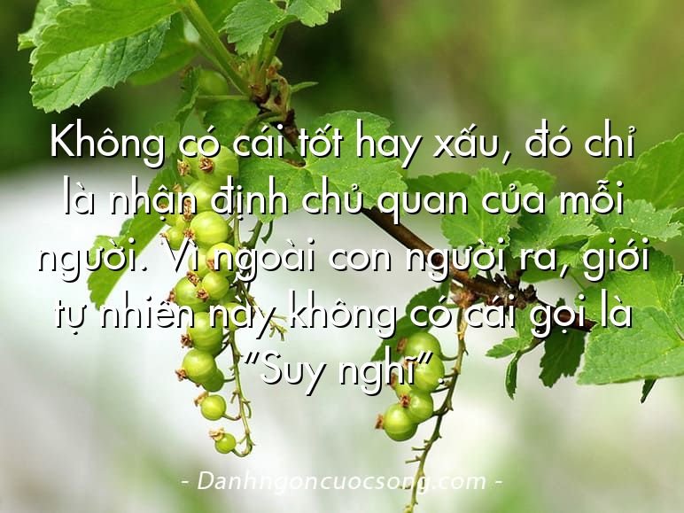 Không có cái tốt hay xấu, đó chỉ là nhận định chủ quan của mỗi người. Vì ngoài con người ra, giới tự nhiên này không có cái gọi là “Suy nghĩ”.