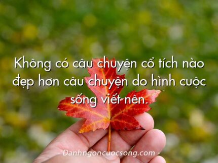 Không có câu chuyện cổ tích nào đẹp hơn câu chuyện do hình cuộc sống viết nên.  