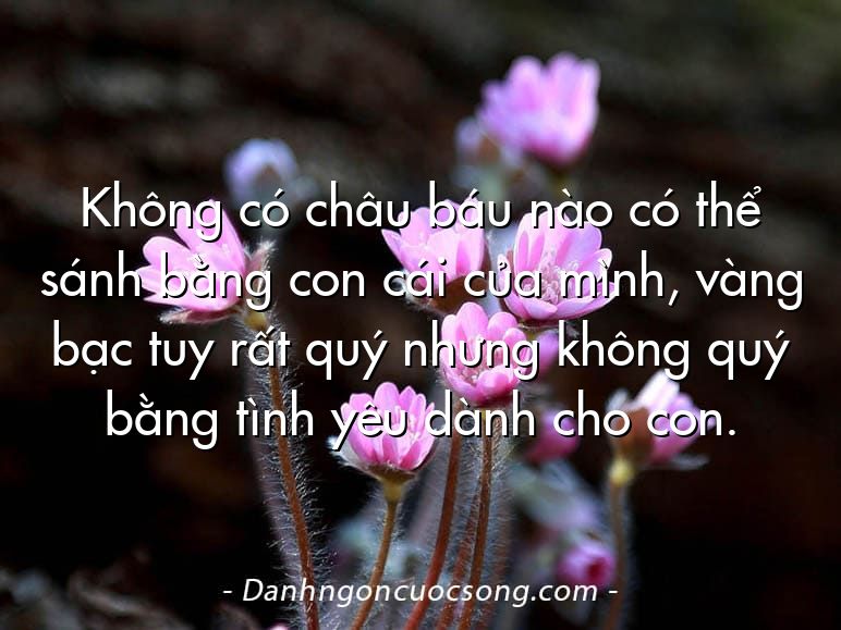 Không có châu báu nào có thể sánh bằng con cái của mình, vàng bạc tuy rất quý nhưng không quý bằng tình yêu dành cho con.