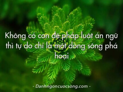 Không có con đê pháp luật án ngữ thì tự do chỉ là một dòng sông phá hoại