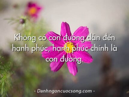 Không có con đường dẫn đến hạnh phúc, hạnh phúc chính là con đường.